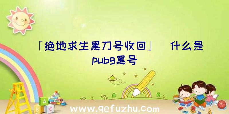 「绝地求生黑刀号收回」|什么是pubg黑号